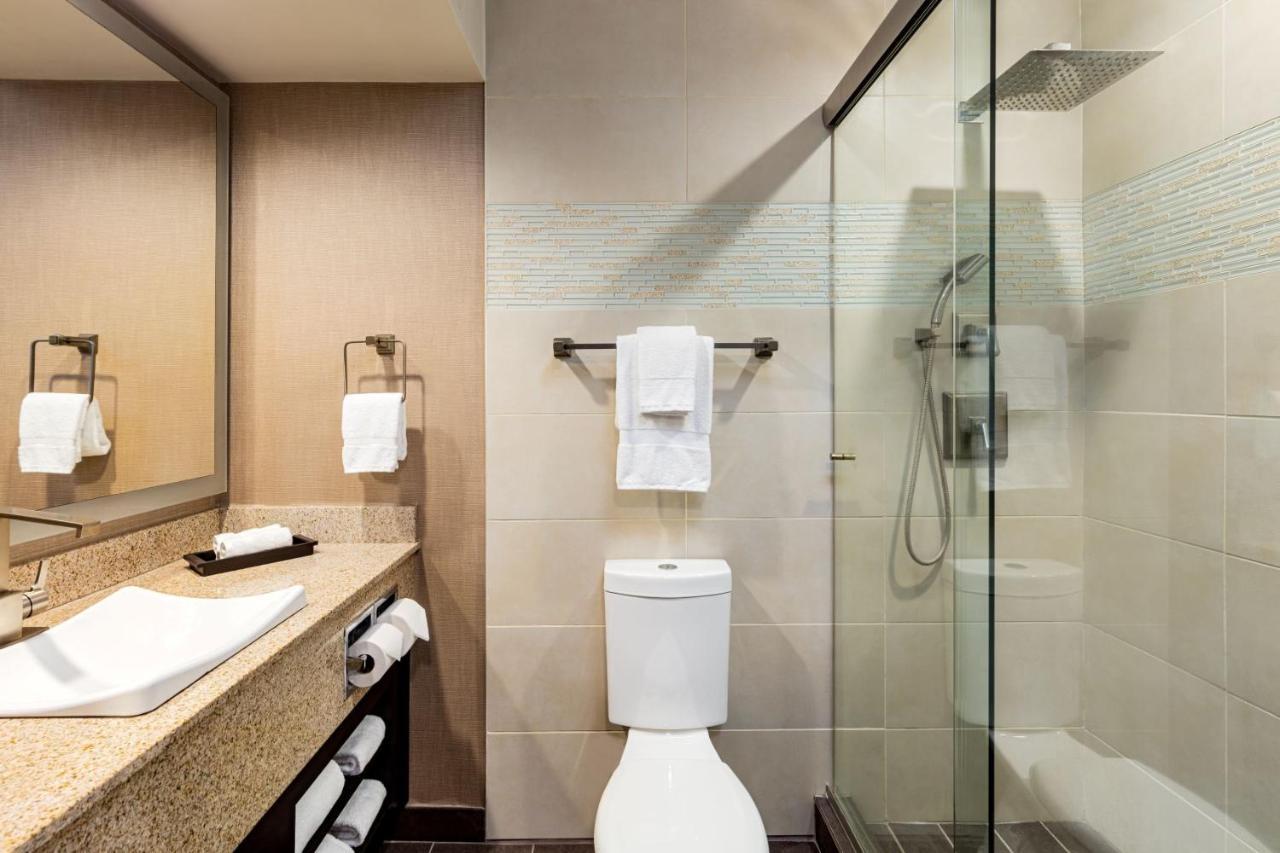 Suite King Executive