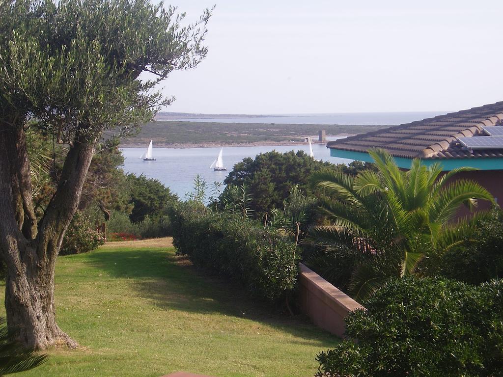 Superior Villa