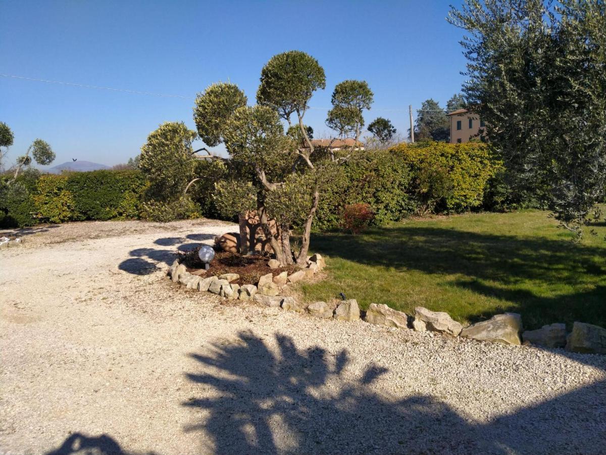 Appartamento Monolocale