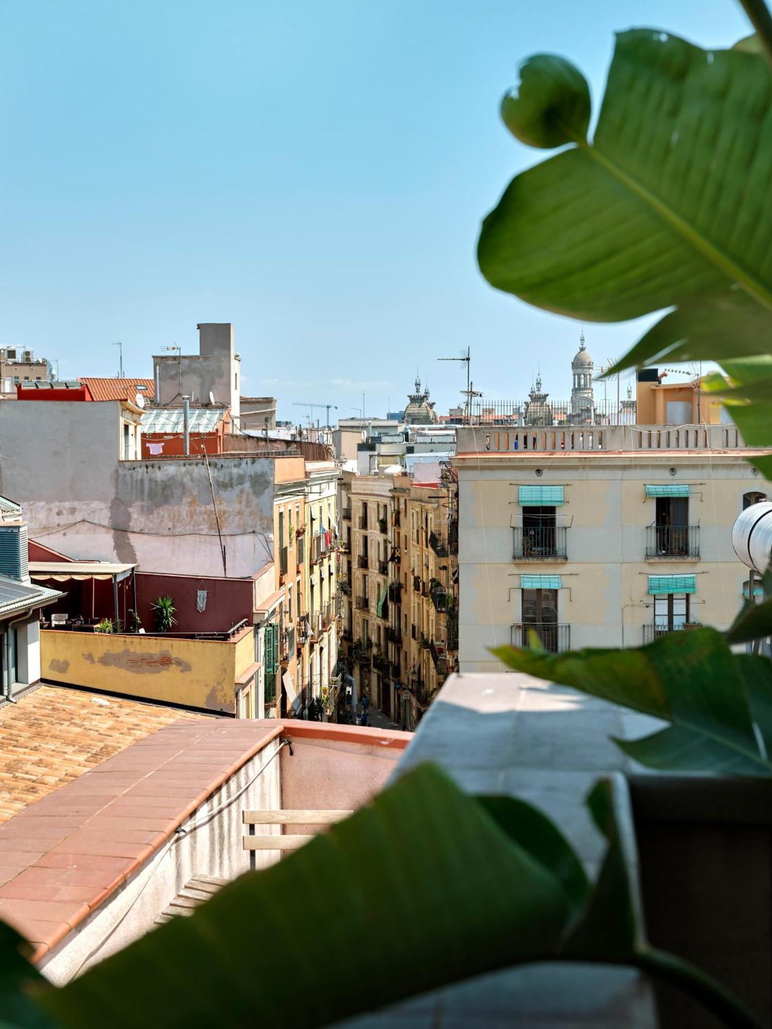 Junior Suite con Terrazza