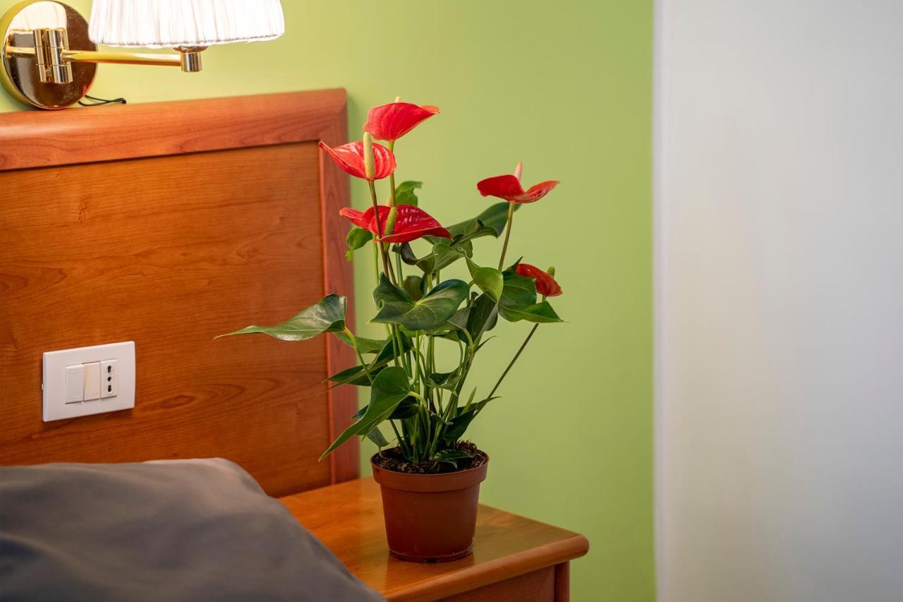 Large Double or Twin Room,1267549813:JPEG