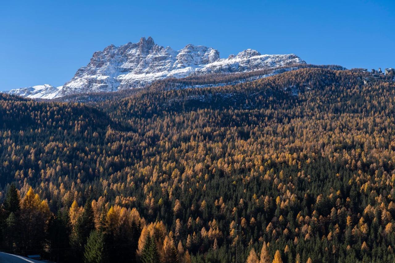 Suite con Vista Montagna