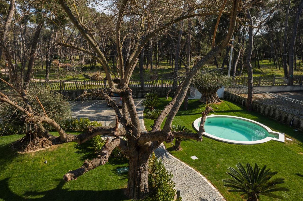 Queen Room Pool View