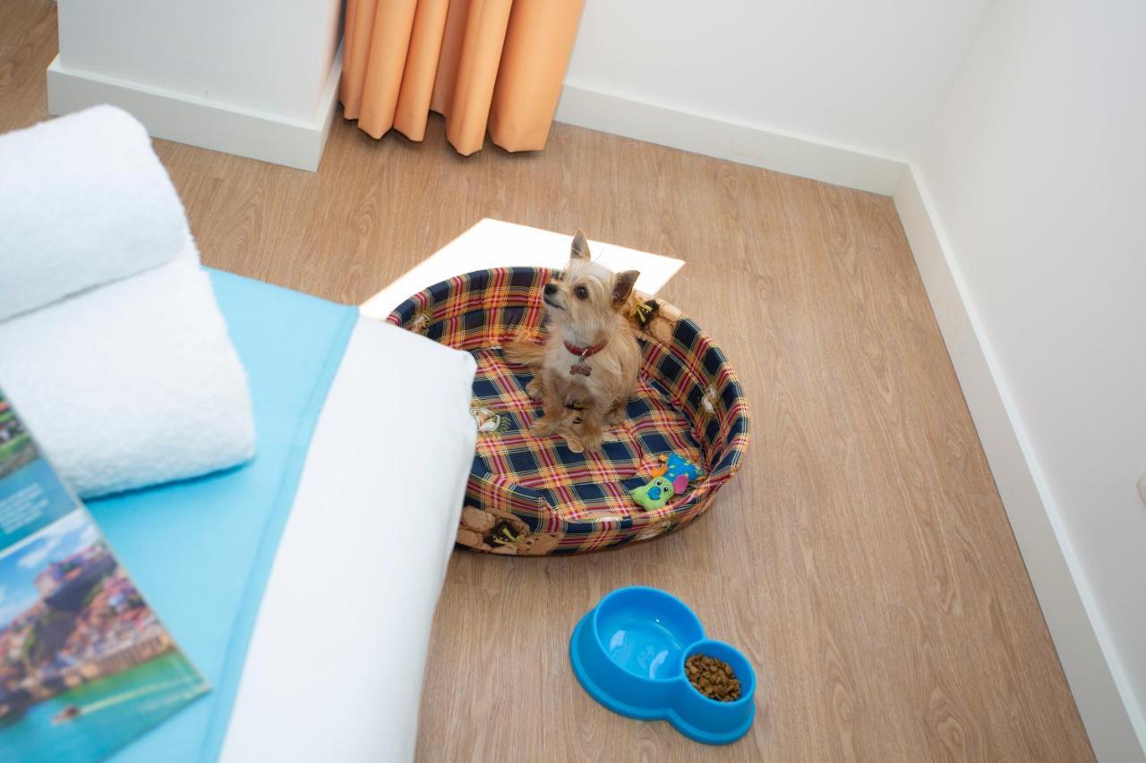 Family Room,1304383339:JPEG