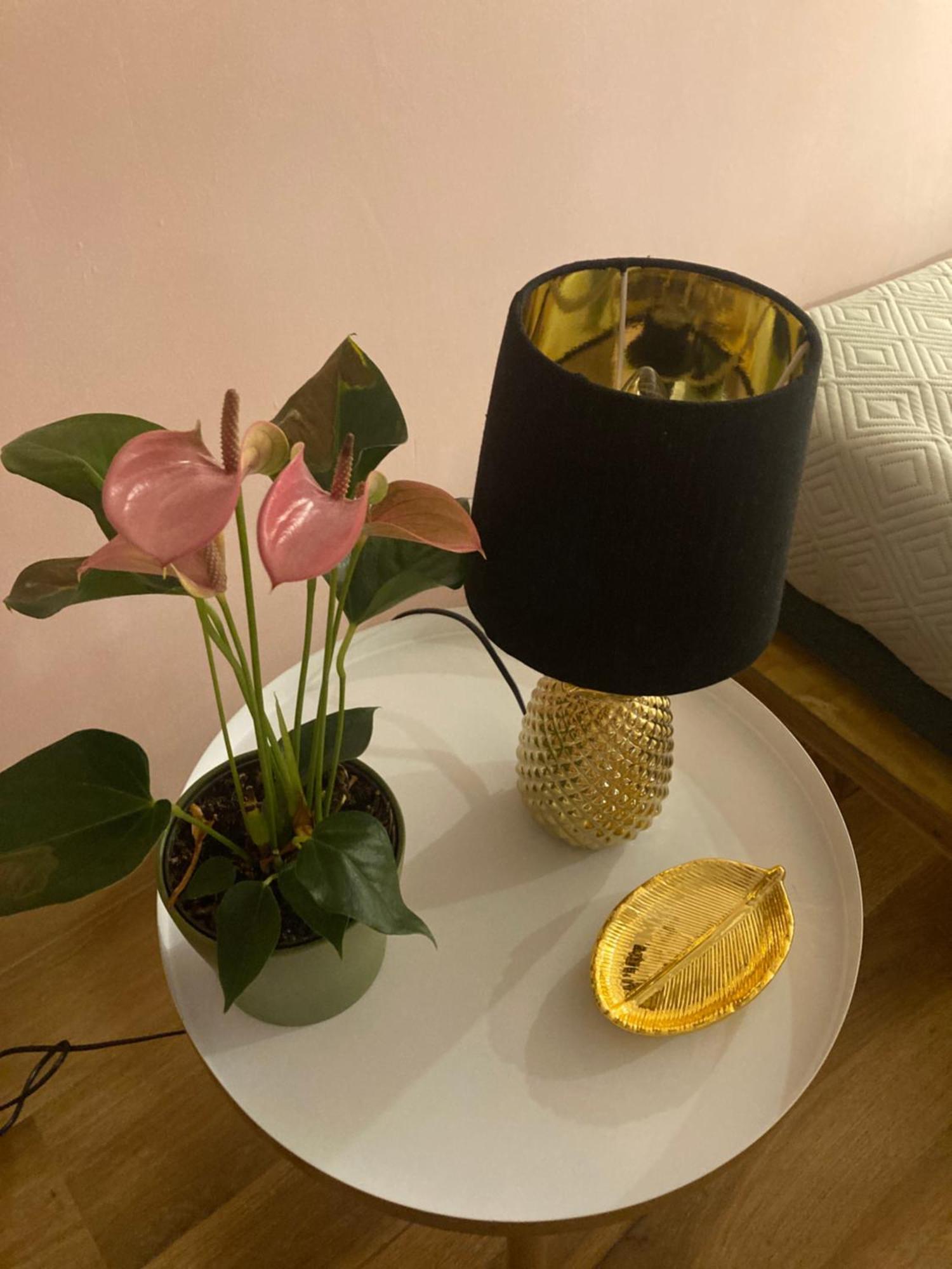 Monolocale Deluxe