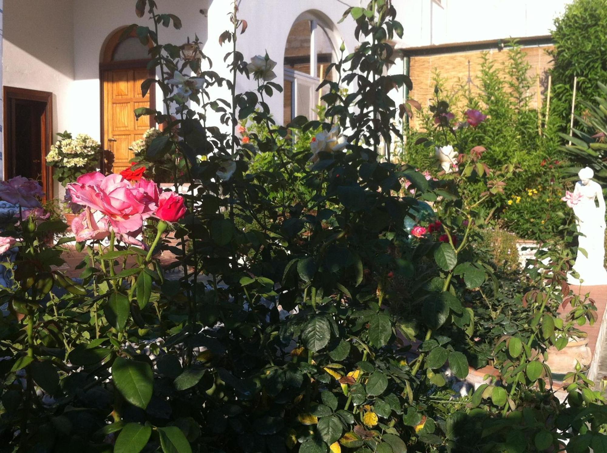 King Room Garden View