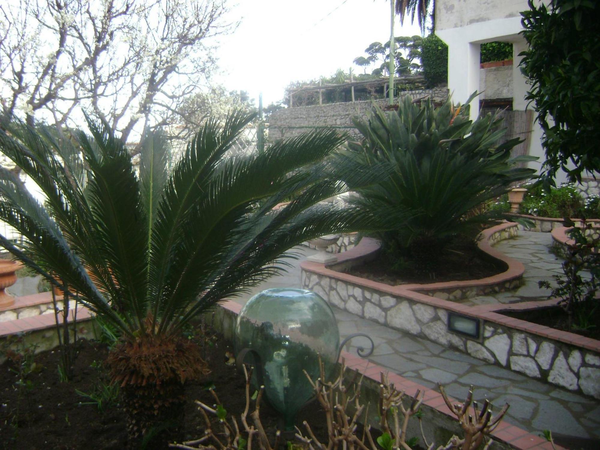 King Room Garden View