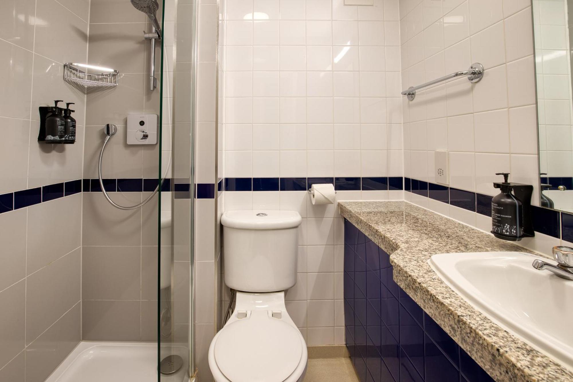 Camera Standard con 1 Letto King Size e Vista sul Parco
