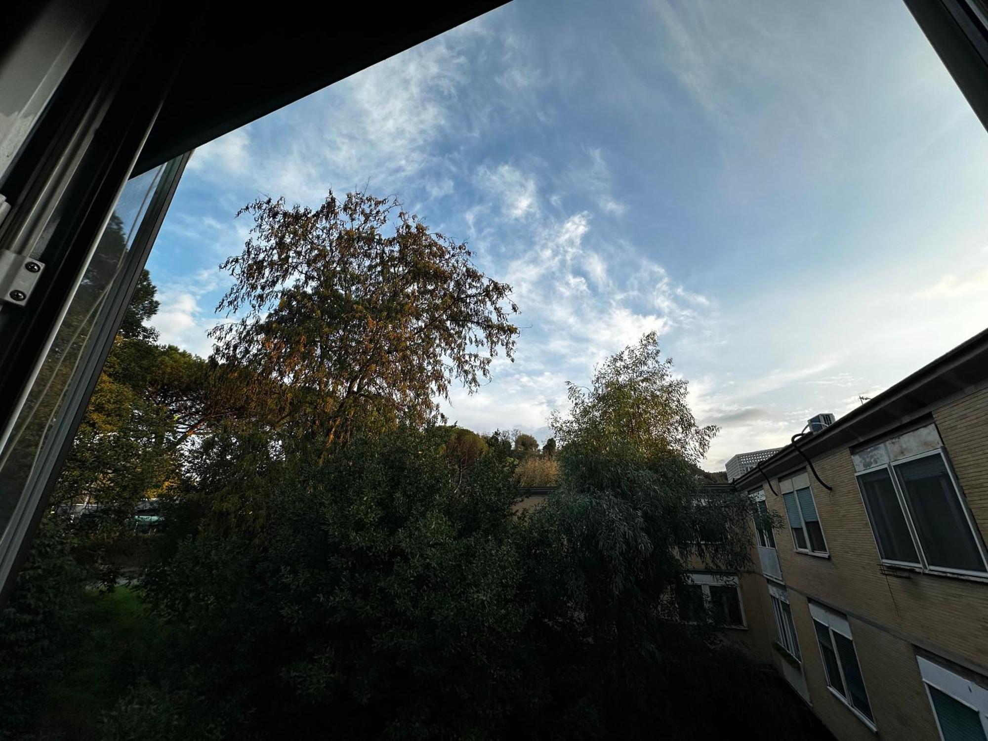 Single Room,1630246250:JPEG