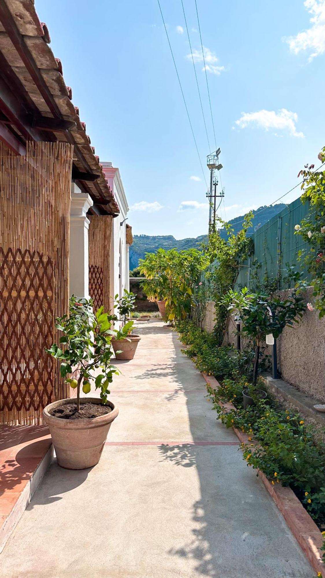 Double Room Terrace
