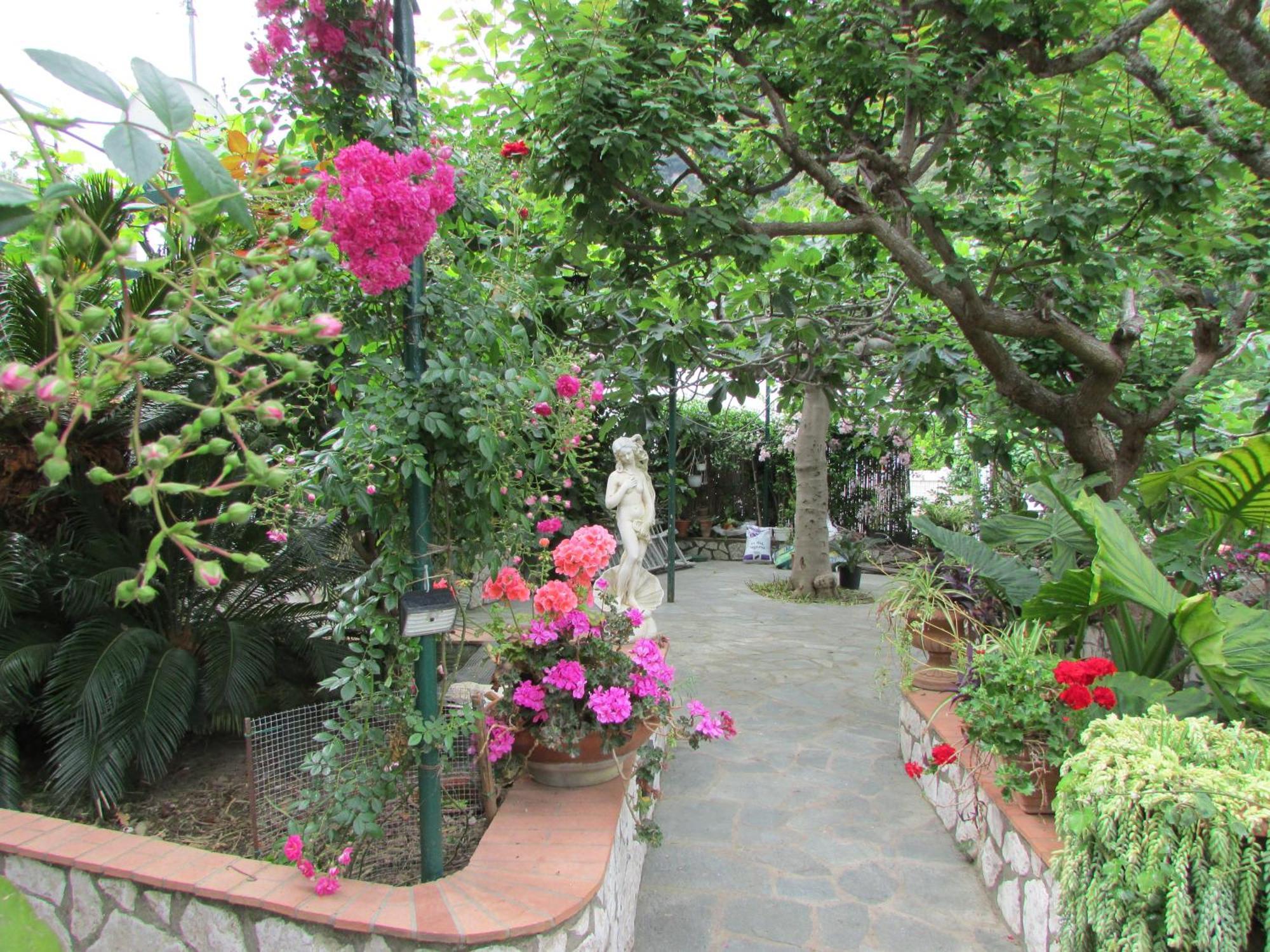 King Room Garden View