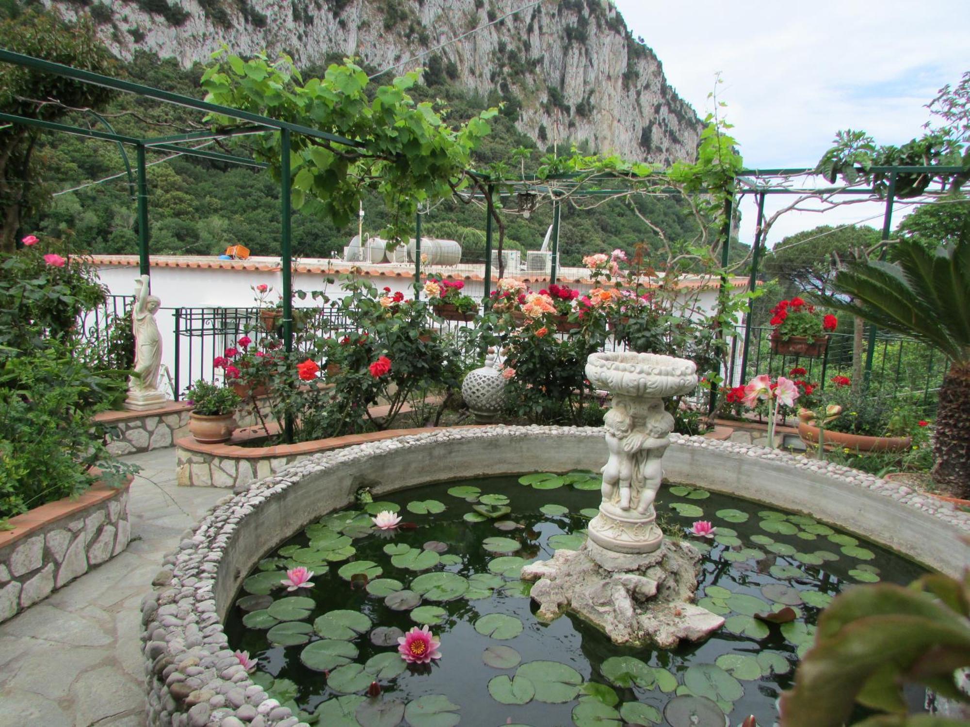 King Room Garden View