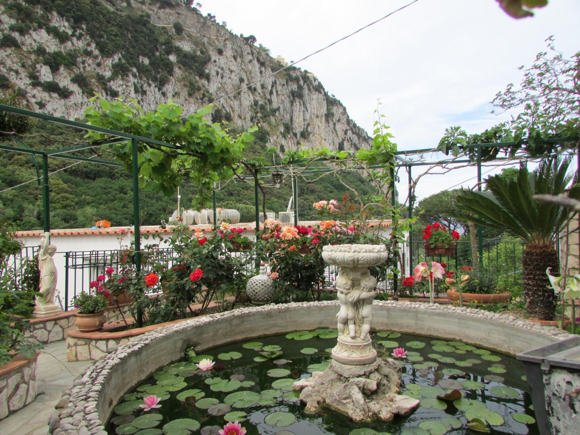 King Room Garden View