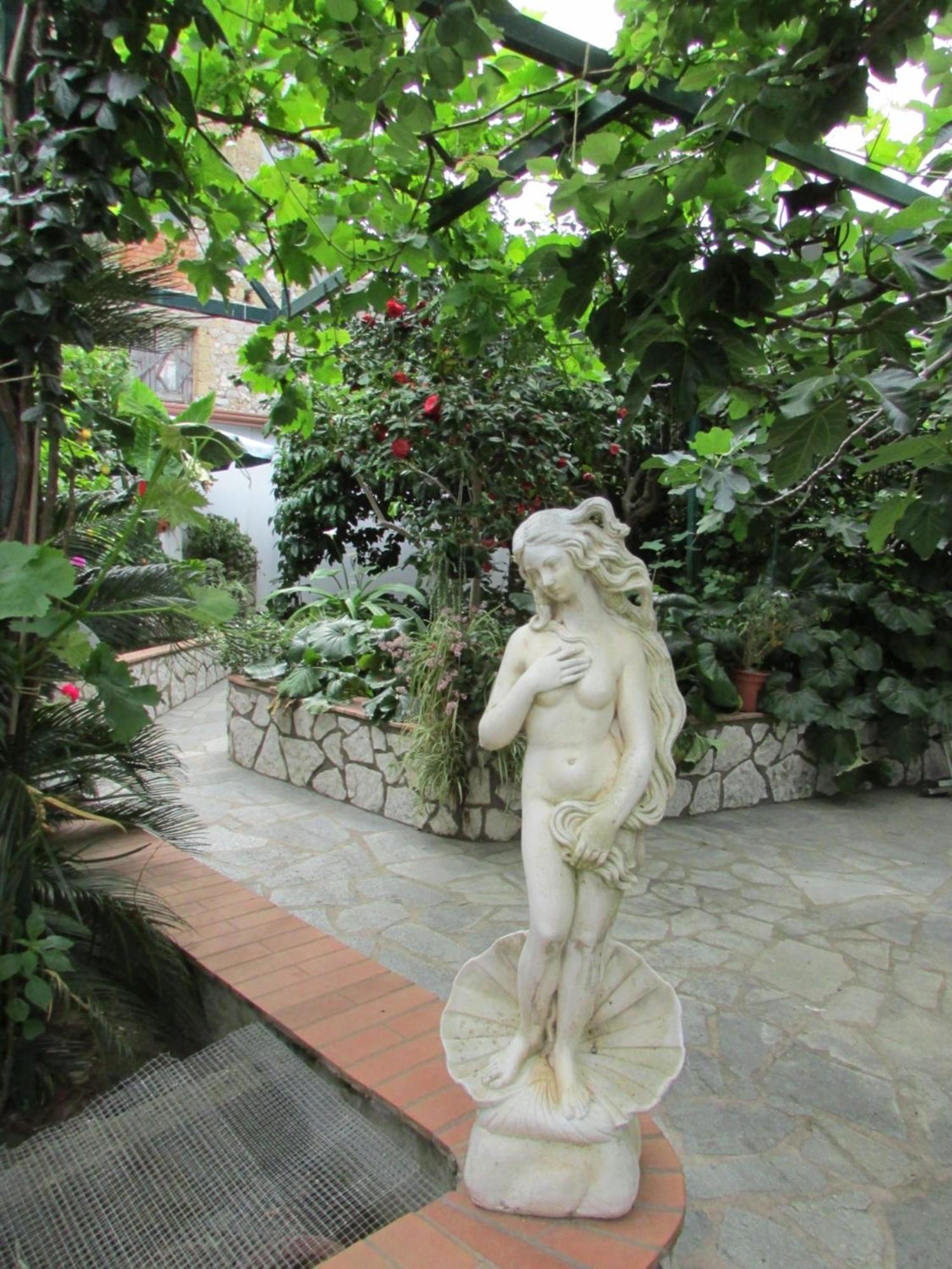 King Room Garden View