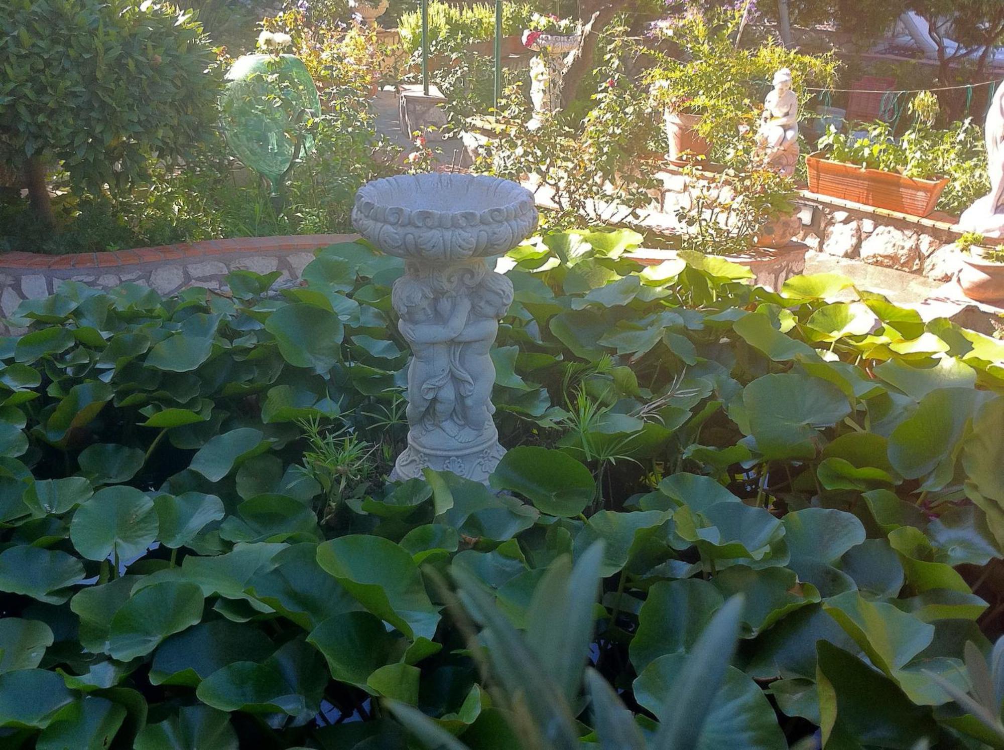 King Room Garden View