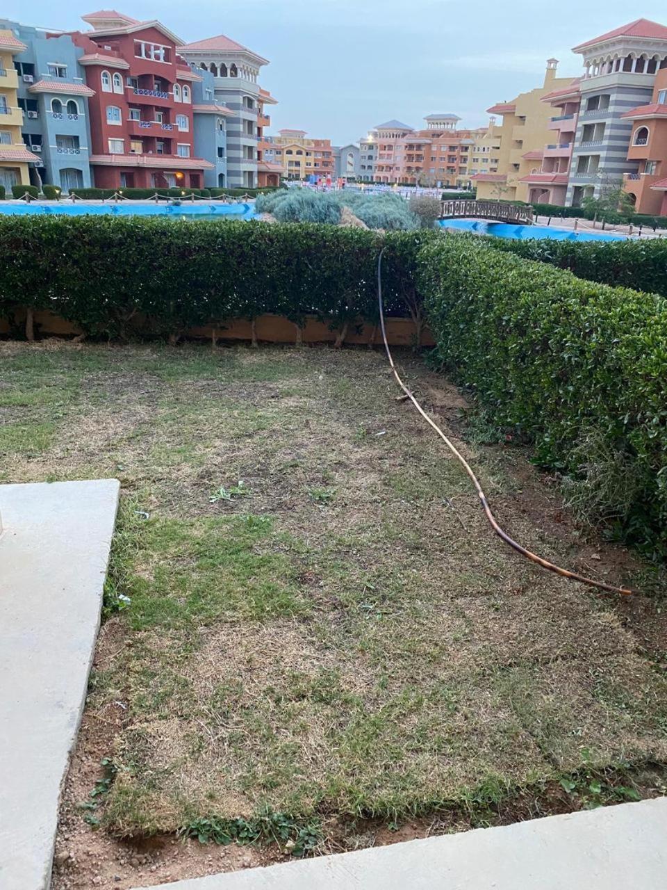 One-Bedroom Apartment Garden