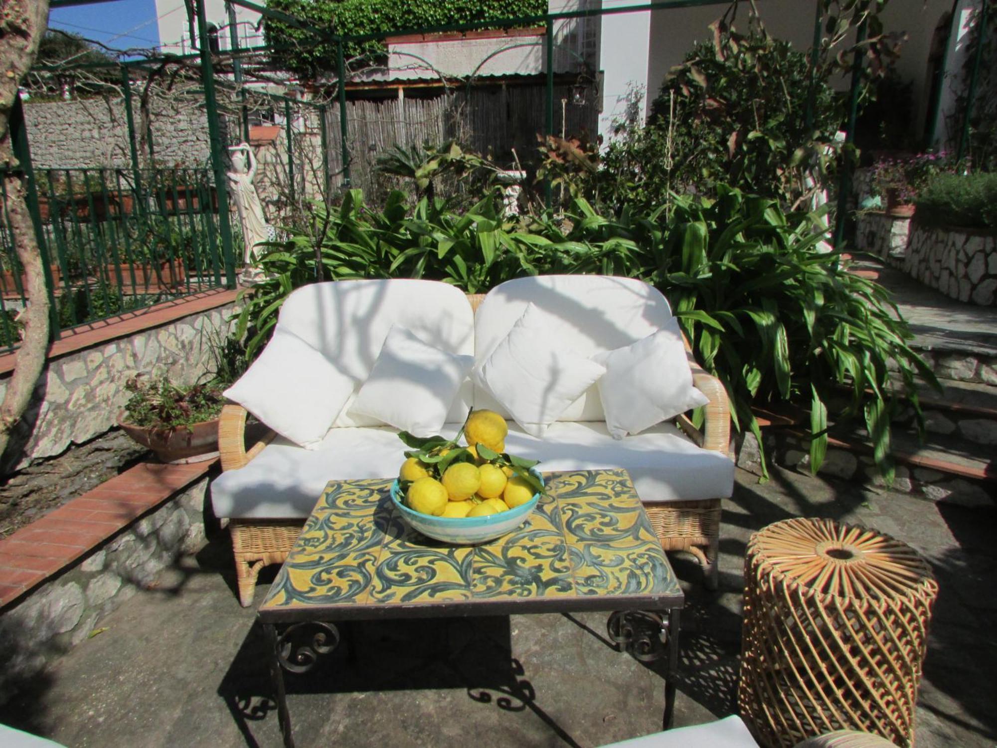 King Room Garden View