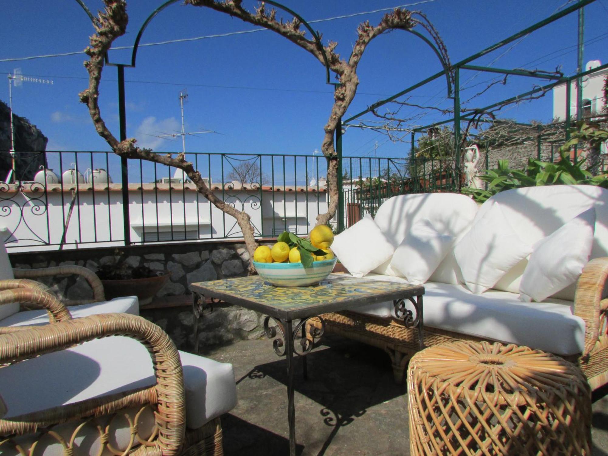 King Room Garden View