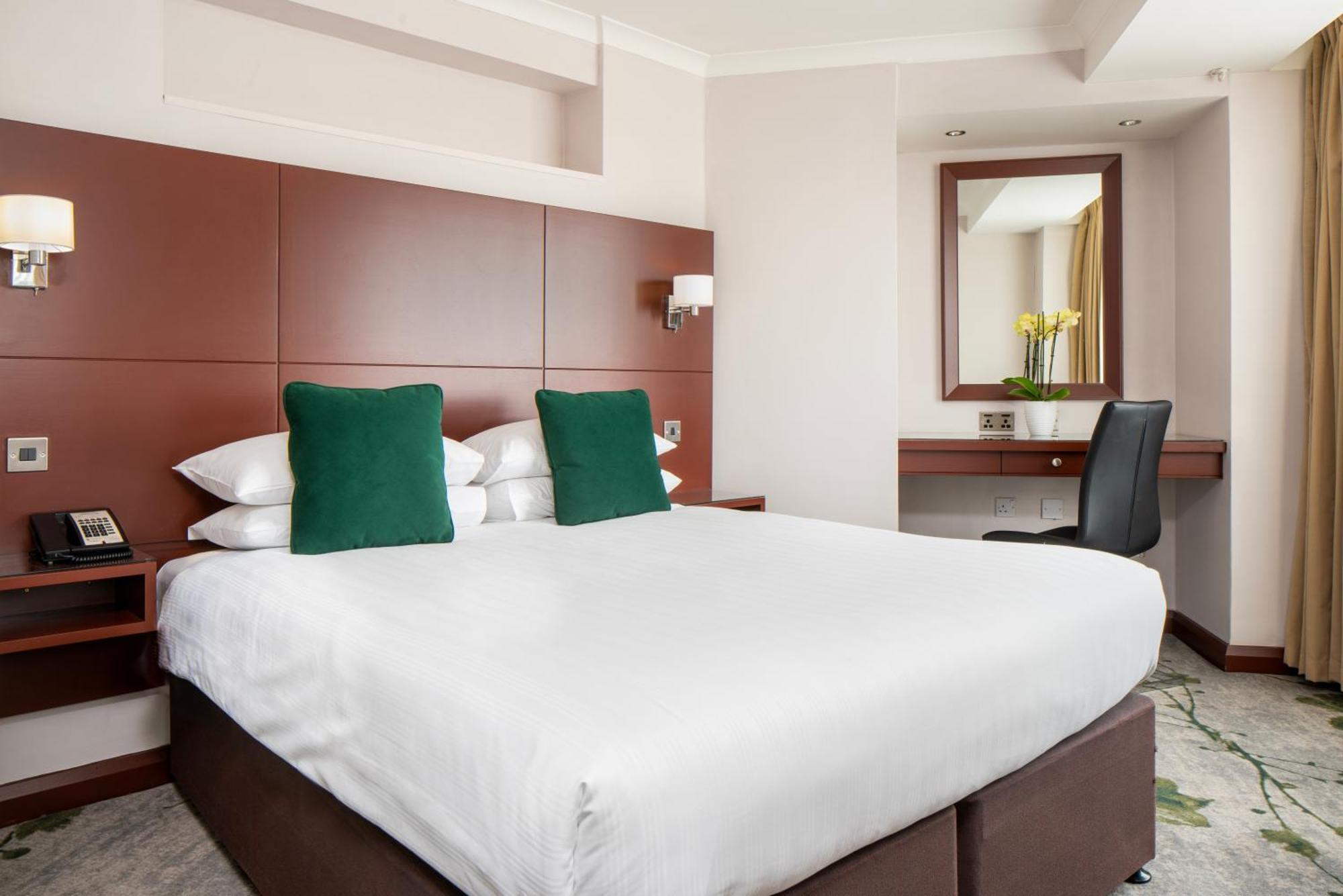 Suite Monolocale