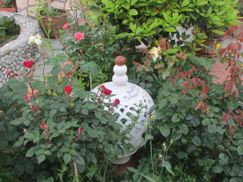King Room Garden View