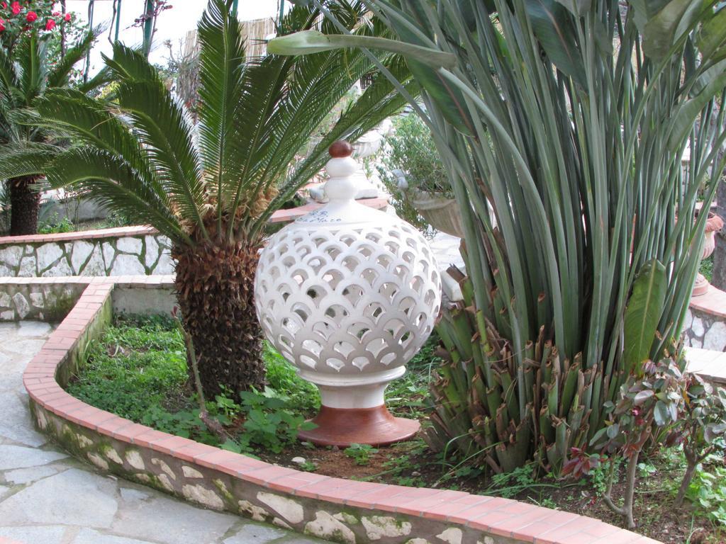 King Room Garden View
