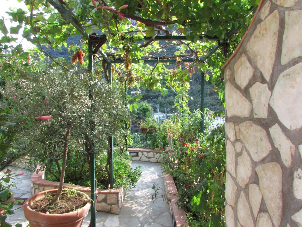 King Room Garden View