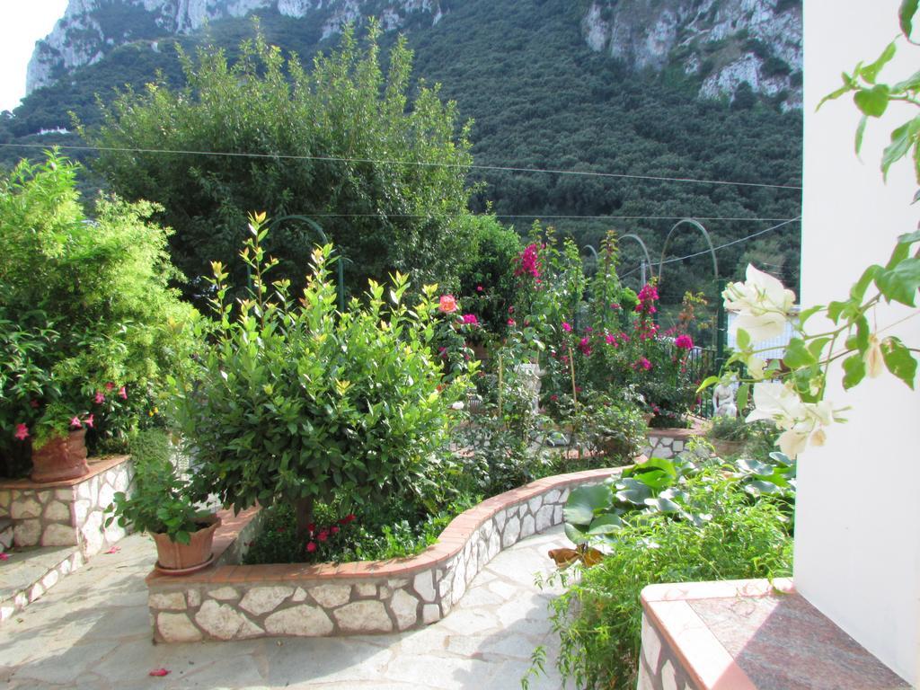 King Room Garden View