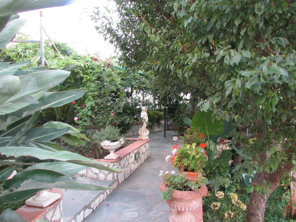 King Room Garden View