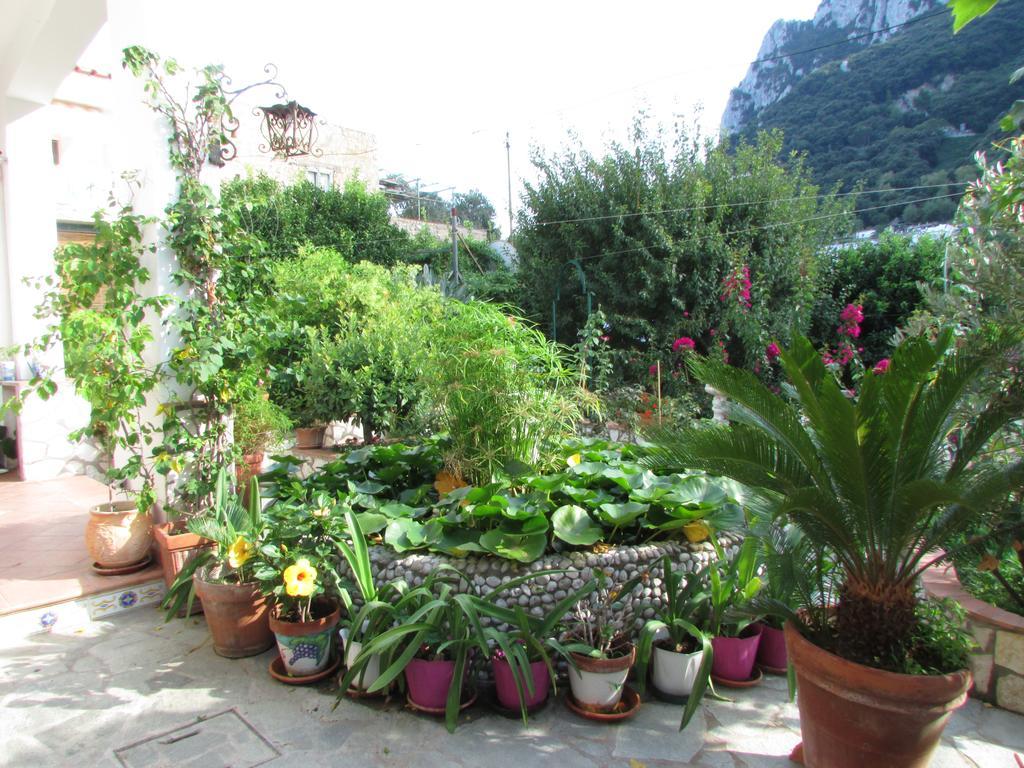 King Room Garden View