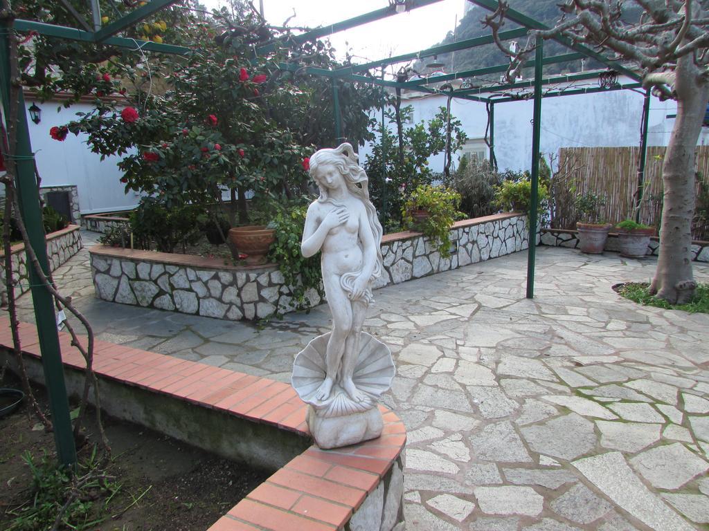 King Room Garden View