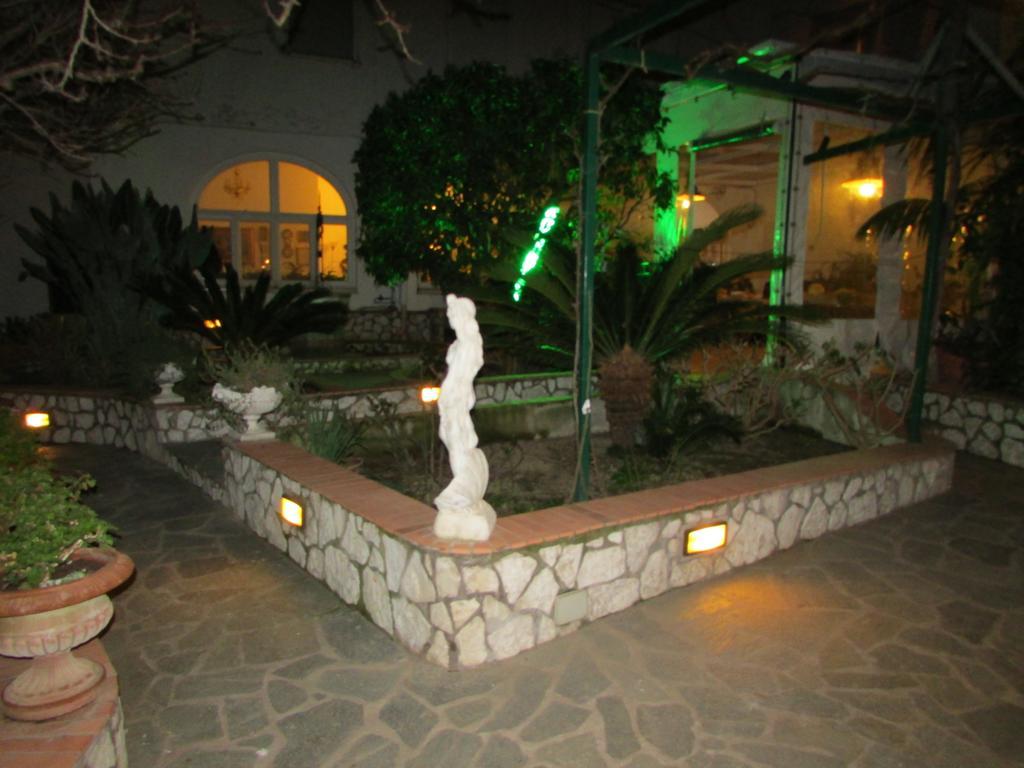 King Room Garden View