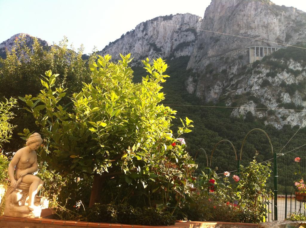 King Room Garden View
