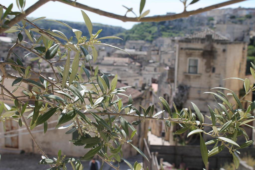 Suite - Grotta