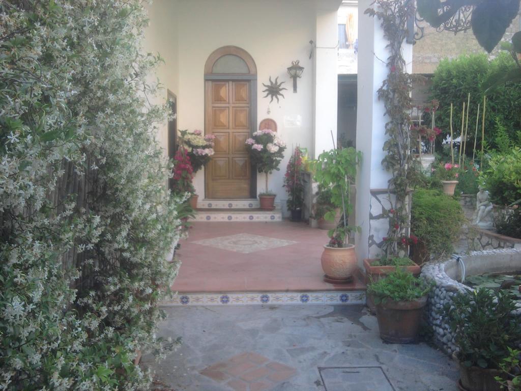 King Room Garden View