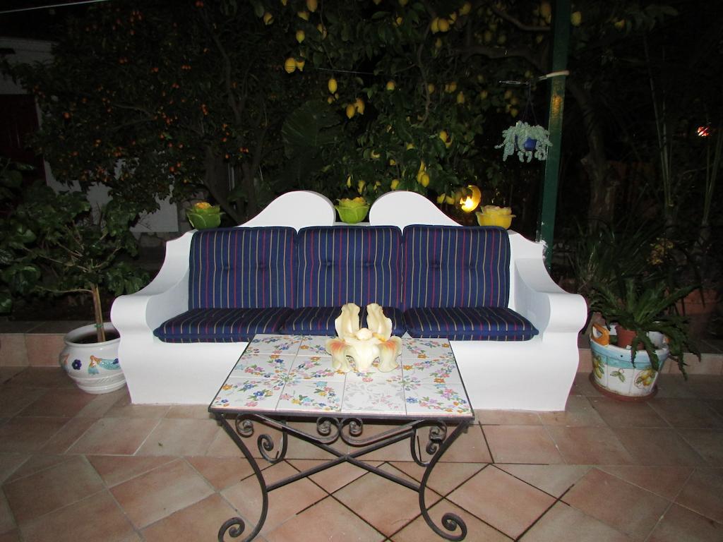 King Room Garden View