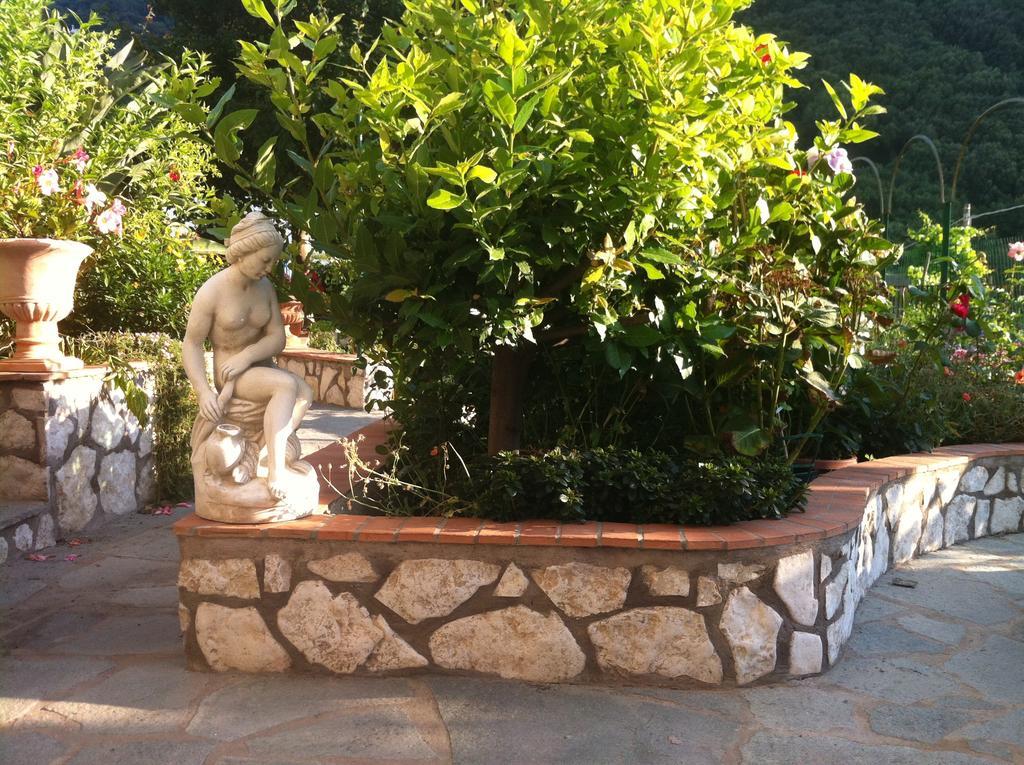 King Room Garden View