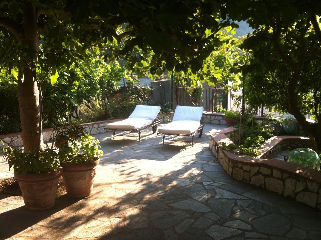 King Room Garden View