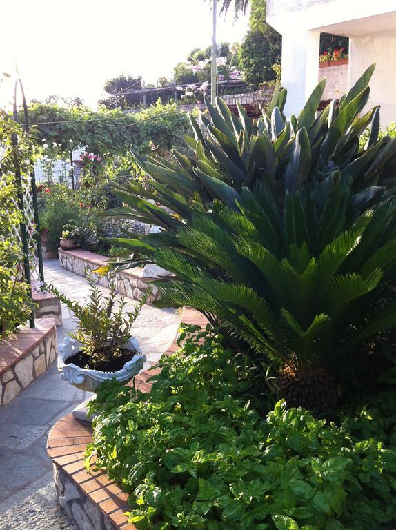 King Room Garden View