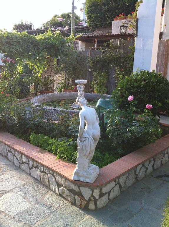 King Room Garden View