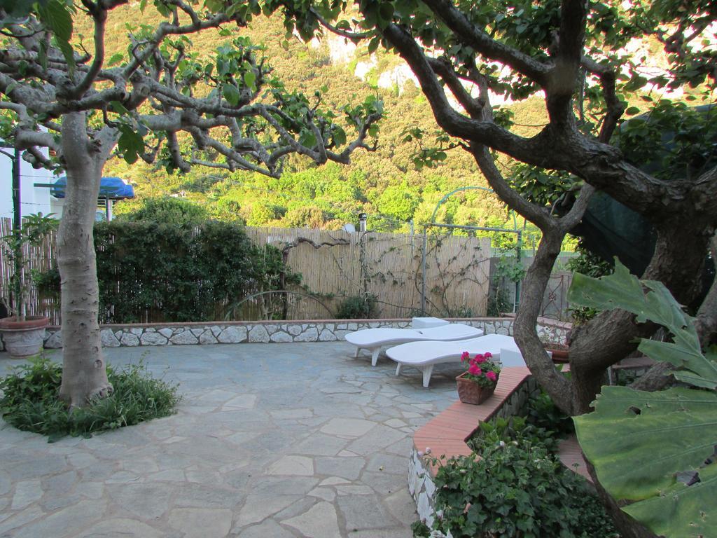 King Room Garden View