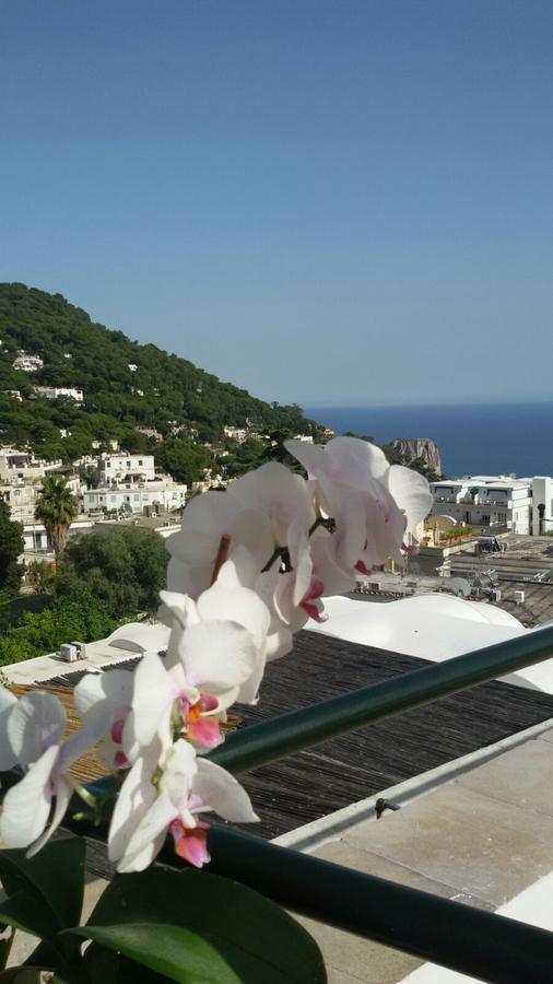 Superior Double or Twin Room Sea View