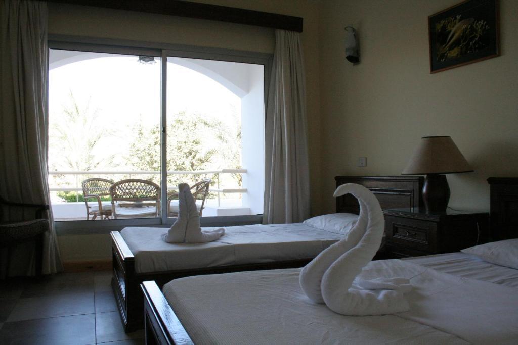 Twin or Double Room