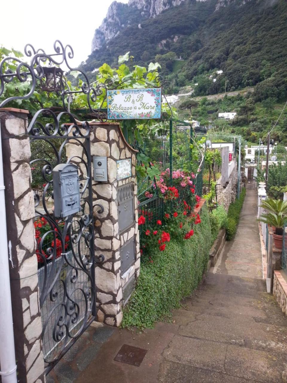 King Room Garden View