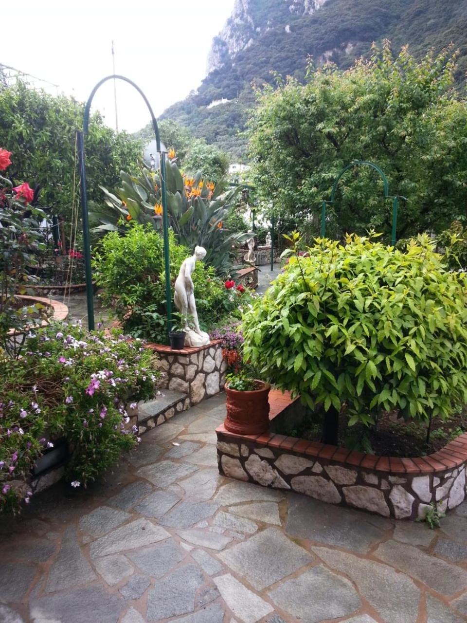King Room Garden View
