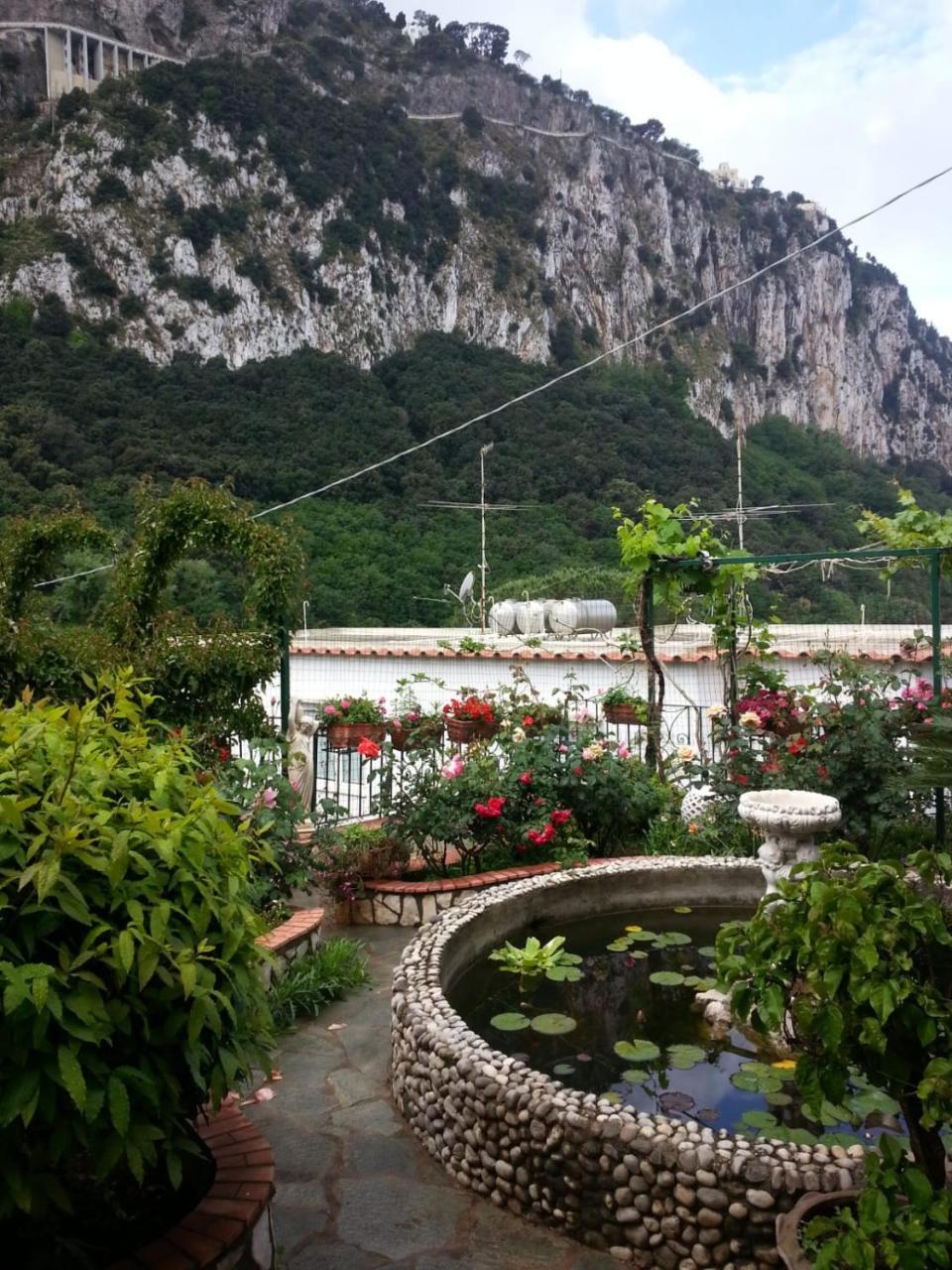 King Room Garden View
