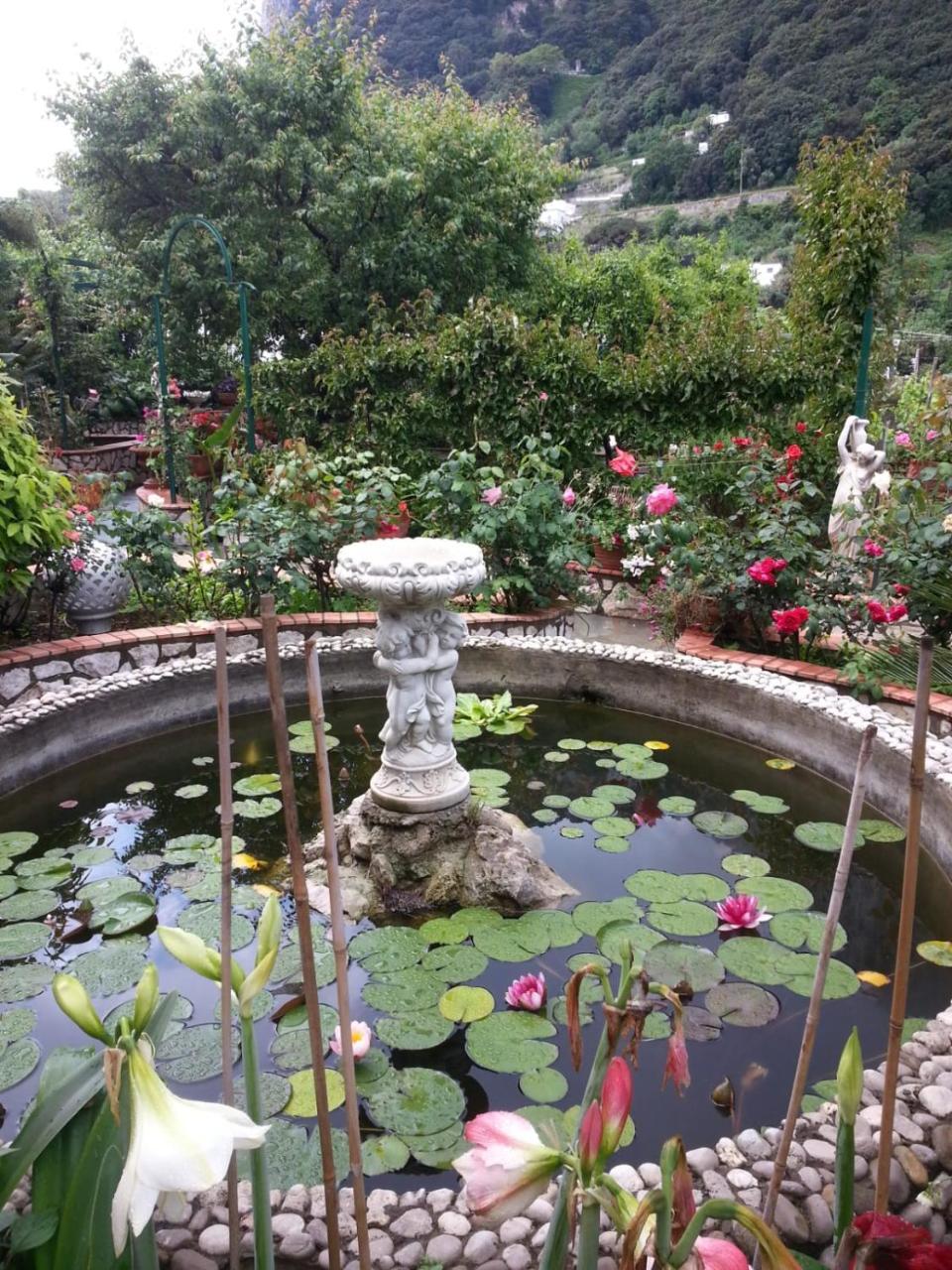 King Room Garden View