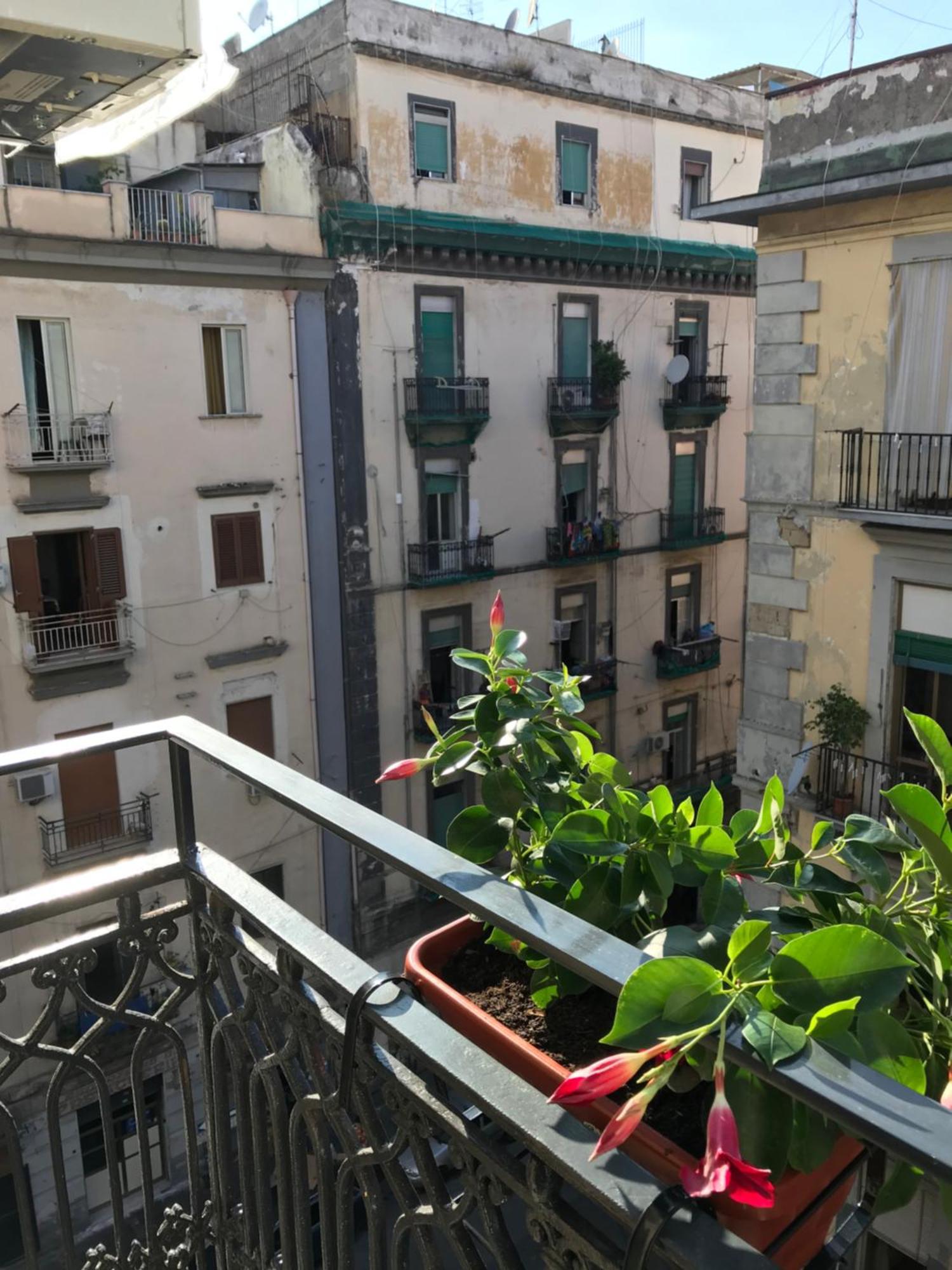 Junior Suite with Balcony,896590990:JPEG