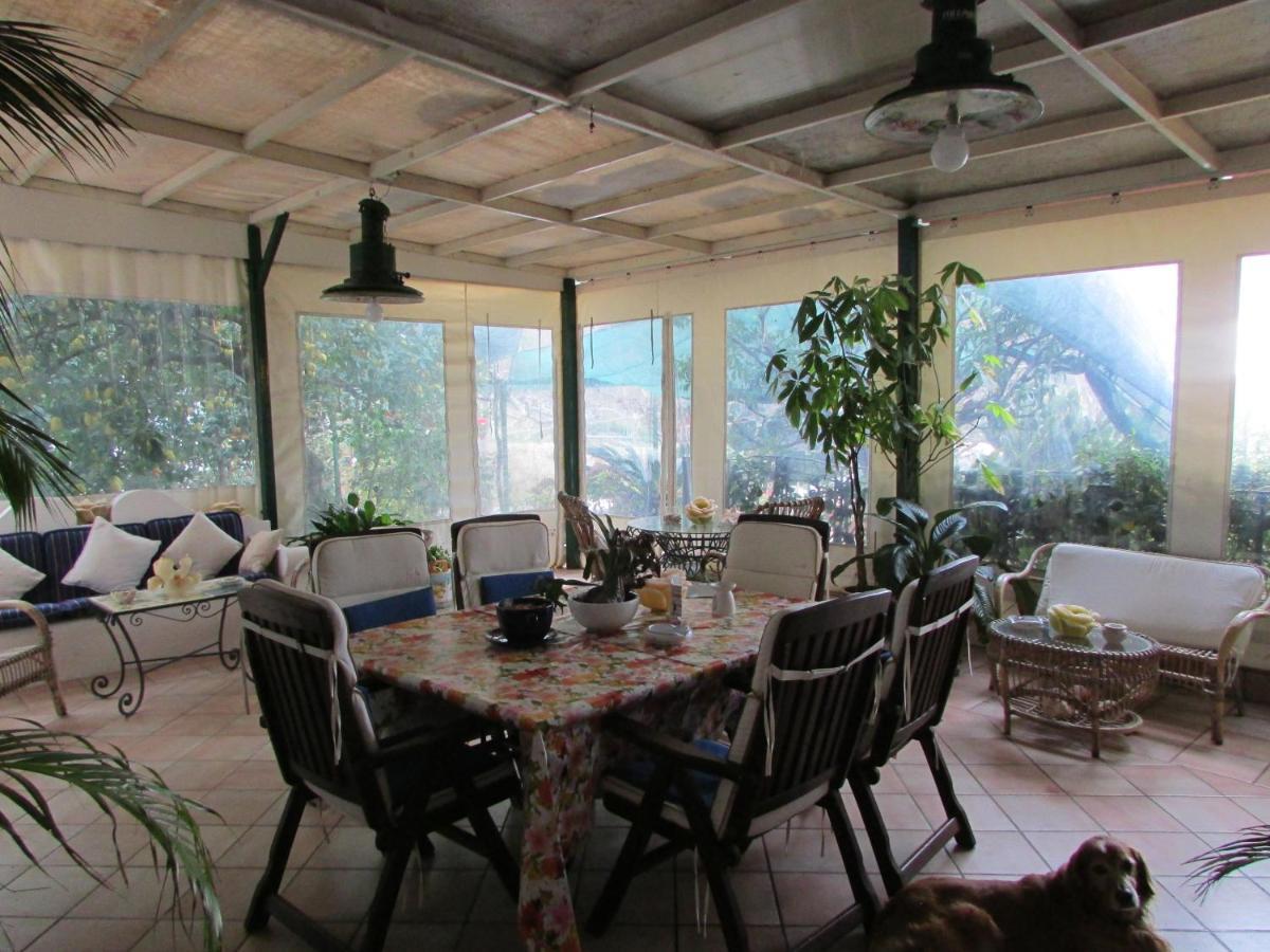 King Room Garden View