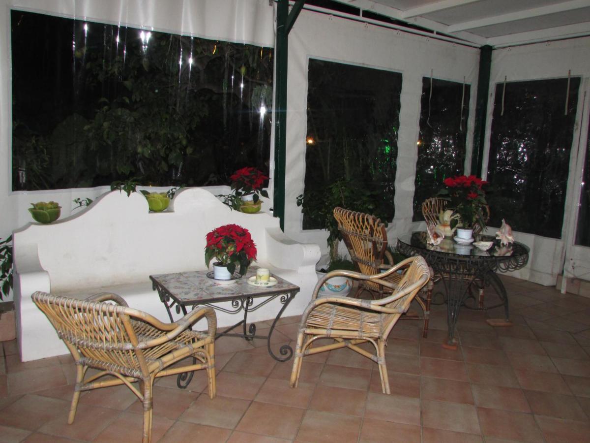 King Room Garden View