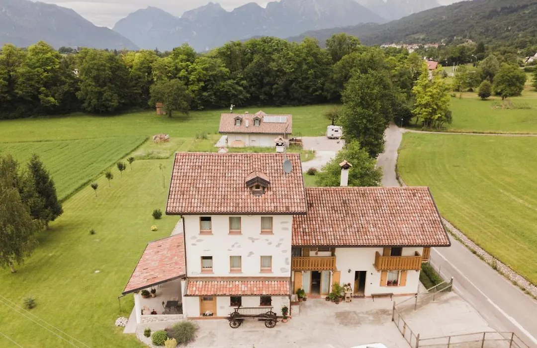 La Tieda - locazione turistica Reolon-1